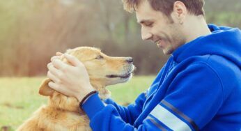 Mai mentire al cane: riconosce le bugie. Arriva la conferma della scienza