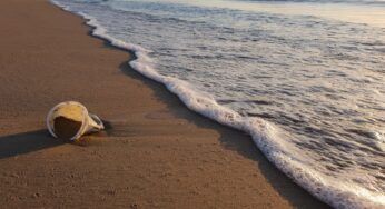 Plastica nel Mar Mediterraneo: ecco dove è più presente