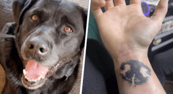 Il suo cane non c’è più e lei decide di ricordarlo con un tatuaggio molto speciale