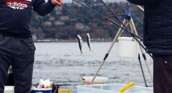 Pesca intensiva e shock ittici, le soluzioni per estirpare questa piaga che minaccia l’ecosistema